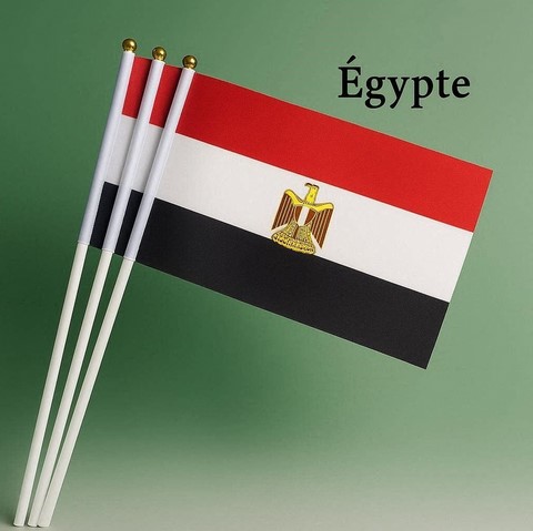 Drapeau mains Egypte, lot de 5/10/20/50/100 pieèces,