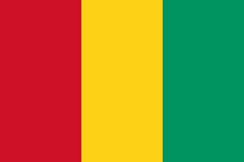 Drapeau Guinée, Syli National, Supporter Guineen, Football Africain. africa. can, Afrique, football, djankawax, Africa Football, Diaspora Africaine, drapeau, 