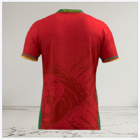   Cameroon Red Football Jersey, Maillot Cameroun, personalisable, rouge, blanc, vert, Football, Lions indomptables Fourteen, Official,