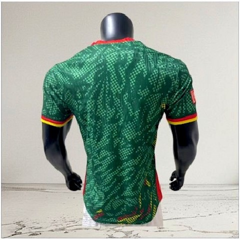  Cameroon vert Football Jersey, Cameroun, vert, Football, Fourteen, équipe nationale,