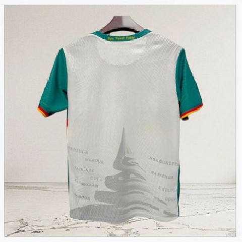 Football Maillot Cameroun 2025/2026, blanc, Lions indomptables, Can, Africa, Soccer,