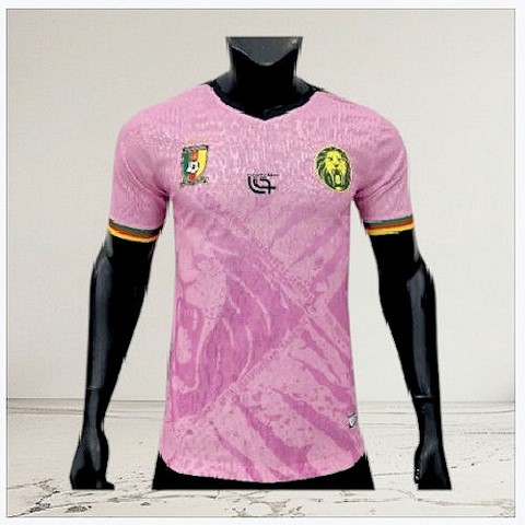  Cameroon Pink Football Jersey,Maillot Cameroun, personalisable, blanc, vert, rouge, Football, Lions indomptables Fourteen, Official,