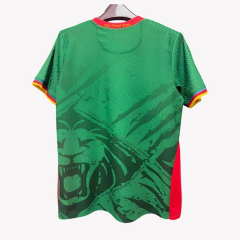  Cameroon vert Football Jersey, Cameroun, vert, Football, Fourteen, équipe nationale,