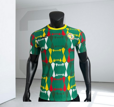 Maillot de Football Sénégal, vert, édition spéciale, équipe nationale, drapeau, Can 2025 