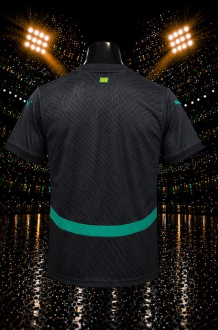 Maillot de Football Sénégal, noir, édition spéciale, équipe nationale, drapeau, Can 2025 ,
