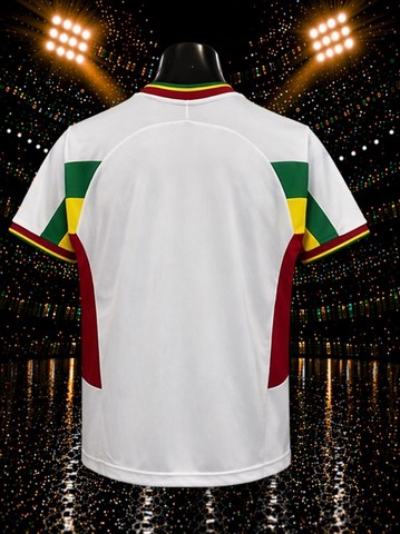 Maillot de Football Sénégal Rétro 2002, blanc, équipe nationale, drapeau, 
