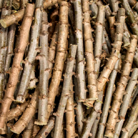 Vente en gros de Boutures de manioc, Manioc frais, feuilles et racines, Coopérative  La ferme de Léo,