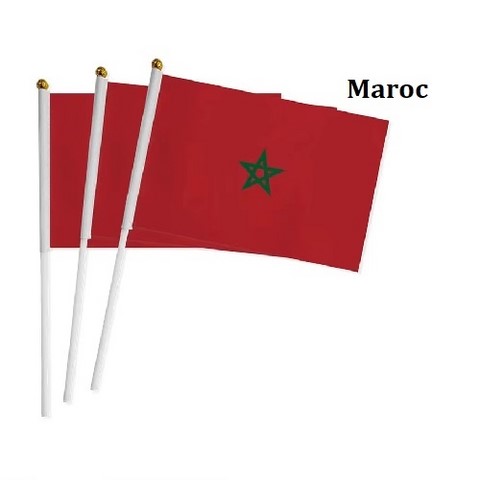 Drapeau main Maroc, Supporters, Fans, Football, Cameroun