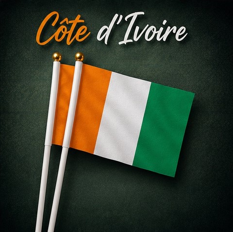 Drapeau mains Côte d'Ivoire, lot de 5/10/20/50/100 pieèces,