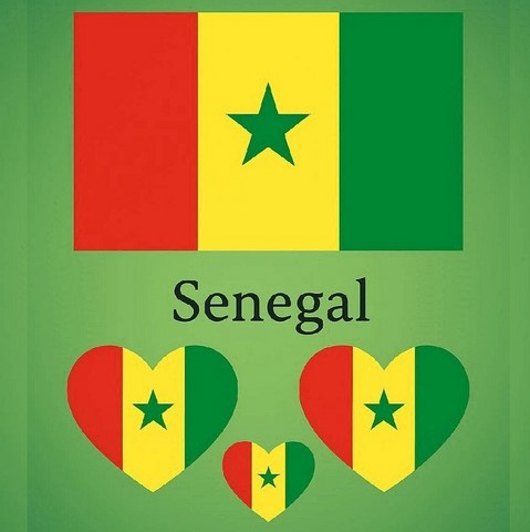 Autocollant,tatouage temporaire football drapeau Cameroun,