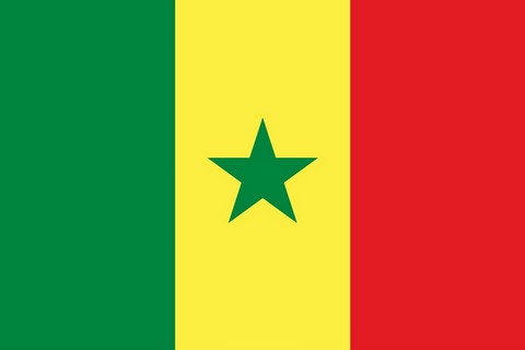 Sénégal, Drapeau national, Supporters, Fans, Football, Pays Afrique, Caf, Can,