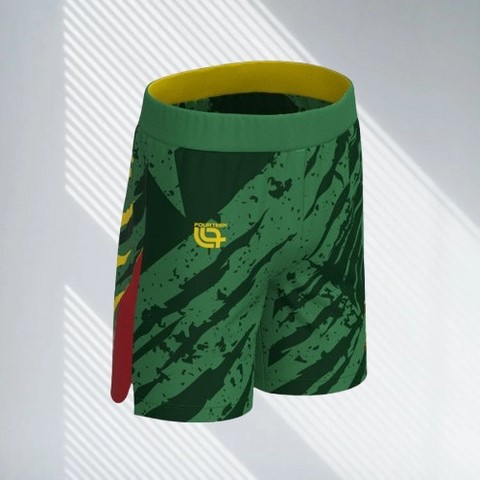 Cameroon Football Shorts , green, Short Cameroun, Jersey vert, Football, Cameroun, Lions indomptables, Fourteen,