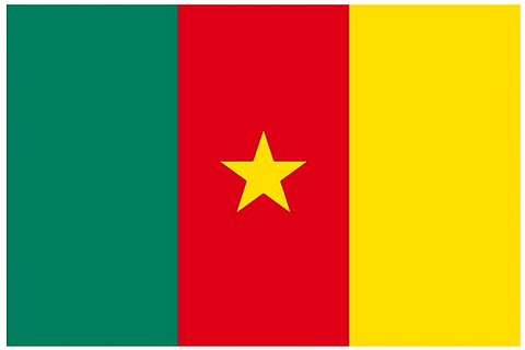 Drapeau national, Cameroun, Supporters, Fans, Football, Cameroun