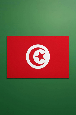 Drapeau national Tunisie, Supporters, Fans, Football, Cameroun
