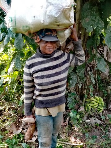 Récolte manioc, Association et coopérative La ferme de Léo, Nkoumadzap Cameroun, Agriculture- Gic manioc,