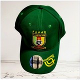 Corne, klaxon, Supporters de football pays africains,