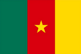 Drapeau du Cameroun, Supporters Camerounais, Lions indomptable, Fans, Football, Cameroun