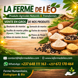 Association La ferme de Léo, ferme humanitaire, écologique et bio en faveur des enfants,