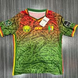  Cameroon Green Football Jersey,Maillot Cameroun, vert Football, Lions indomptables,