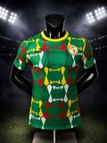 Maillot de Football Sénégal, vert, édition spéciale, équipe nationale, drapeau, Can 2025 