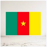 Drapeau du Cameroun, Supporters Camerounais, Lions indomptable, Fans, Football, Cameroun