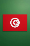 Drapeau national Tunisie, Supporters, Fans, Football, Cameroun